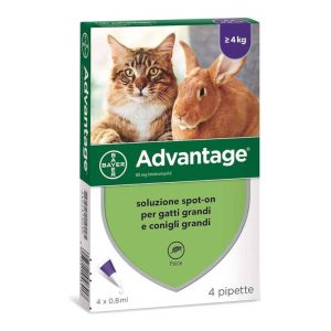 ADVANTAGE SPOT ON 80 GATTO
